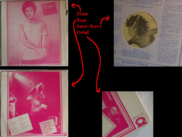 Bruce Springsteen - RAISES CAIN